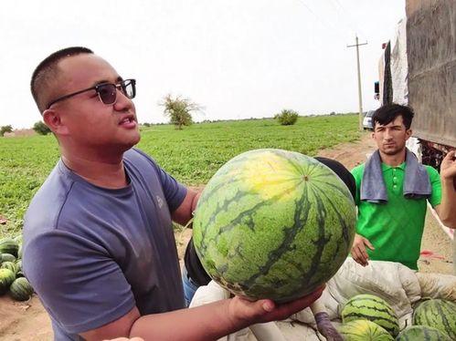 温江吃瓜新闻视频,揭秘当地热门事件背后的真相