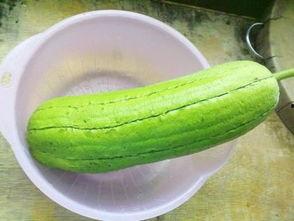 水瓜多久可以吃,水瓜成熟周期与食用指南