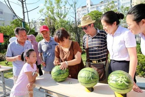 咚瓜咋吃,探索传统美食的独特魅力