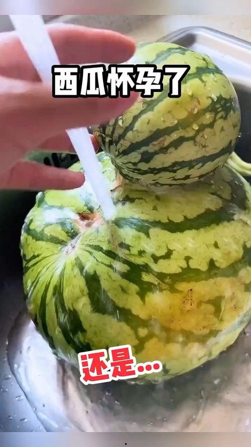 吃瓜叶搞笑配音,叶氏配音带你领略幽默瓜叶风