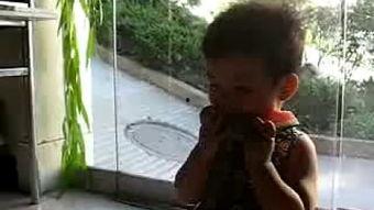 毛毛哥吃瓜,揭秘娱乐圈那些不为人知的幕后故事