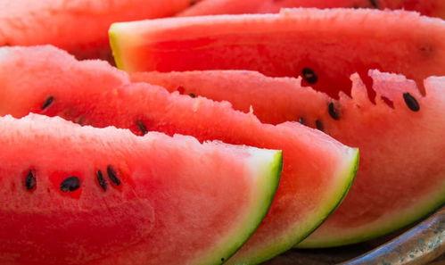 韩国看河南吃瓜,一场味蕾的“吃瓜”之旅