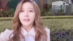 吃瓜苏杉杉,揭秘娱乐圈背后的甜蜜与苦涩