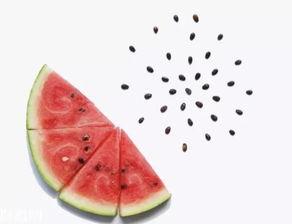 小白瓜吃不吃籽儿,吃还是不吃？