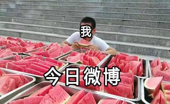 神速吃瓜比赛学校,校园里的速度与激情对决