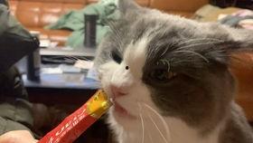 吃瓜喵喵喵,揭秘娱乐圈那些不为人知的幕后故事